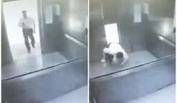 Giảng viên đại học tử vong sau khi bị thang máy kẹp nghiến lên nửa phần cơ thể