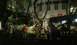 Mưa lớn, cây cổ thụ gãy cành làm 2 người bị thương