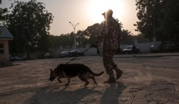 Chú chó dũng cảm cứu khách mời tham gia đám cưới khỏi kẻ đánh bom liều chết