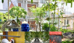 Ông bố 8x gây 'sốt' với tài trồng rau, nuôi gà cá phủ kín sân thượng 80m²