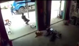 Mẹ liều mình lao sang đường cứu con, bị xe tải tông thảm khốc