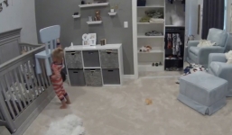 Em bị nhốt trong cũi, anh trai lên kế hoạch giúp em thoát ra ngoài tìm tự do