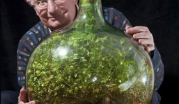 Cây 44 năm không tưới vẫn sống tốt, NASA kỳ vọng điều này