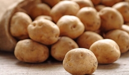 Những lưu ý khi chế biến món ăn từ khoai tây