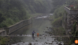 Bà 'mượn tay' cháu gái để đầu độc bé trai 8 tuổi vì mâu thuẫn