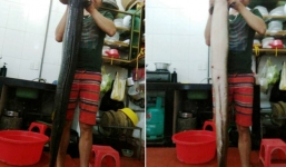 Bắt được cá lệch 'khủng' dài 1,7 mét, nặng 15kg