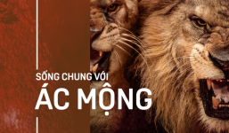 Bầy sư tử cuồng dại, giết chết 1.500 người: Vụ động vật thảm sát nhiều người nhất lịch sử