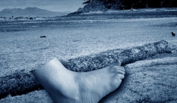 Bí ẩn rùng mình chưa lời giải của 16 chân người dạt vào bờ biển Canada 