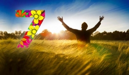 7 điều 'không' trong cuộc đời để sống hạnh phúc, quên phiền não