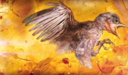 Phát hiện kinh ngạc về xác con chim 100 triệu năm tuổi