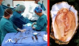 Người đàn ông suýt đứt của quý vì 'tự sướng' với con hàu