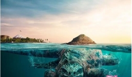 Những hòn đảo ngầm và sự thật bên dưới khiến nhiều người giật mình