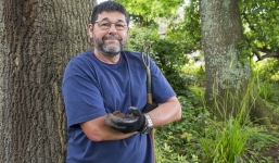 Người đàn ông đào vườn vô tình phát hiện loại nấm quý hiểm, vô cùng đắt đỏ