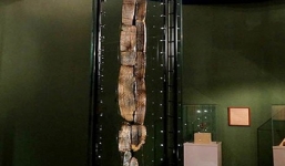 Búp bê gỗ nhiều tuổi gấp đôi kim tự tháp được đẽo bằng răng hải ly