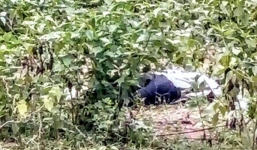 Phát hiện thi thể người đàn ông tử vong bất thường trong rừng