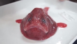 Bắt được 'thủy quái' kì dị nhất hành tinh từ độ sâu hơn 4.000 mét dưới biển