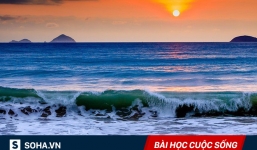 Cố tình đẩy bạn gái xuống biển khi cá mập đang lao đến, chàng trai khiến người yêu hối hận