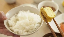 Mẹo hay bảo quản cơm lâu ôi thiu mùa nắng nóng