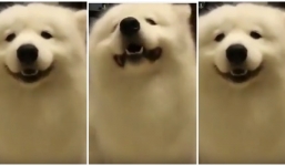 Bi kịch cựu SV Hà Nội có 3 tấm bằng quốc tế vướng vào tội 'Giết người': Nỗi đau cùng cực của người mẹ nghèo