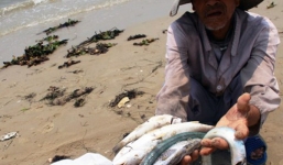 Cách chức một cục trưởng sau sự cố Formosa