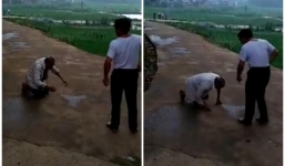 Phẫn nộ cảnh cha già 90 tuổi quỳ rạp lạy con trai giữa đường