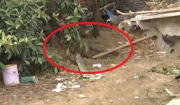 Gã đàn ông giết vợ, chôn xác trong vườn nhà suốt 5 năm mới bị phát hiện