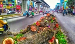 Chủ tịch Hà Nội: Nắng nóng kỷ lục một phần do 'lấp ao hồ, chặt cây xanh'