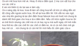 Ghen tức vì chồng mê hoa hơn mình, cô vợ vặt trụi chậu phong lan bạc triệu của chồng làm... nước tắm