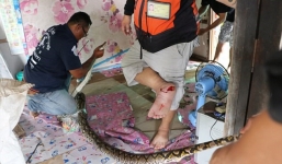 Trăn khổng lồ núp trên mái nhà, cha lo con gái bị nuốt chửng