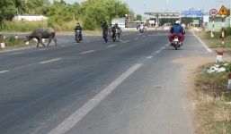 3 thanh niên tấn công CSGT, cướp xe vi phạm 