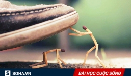 8 điều đáng tiếc nhất ở đời, dù là ai cũng nên đọc để răn bản thân!