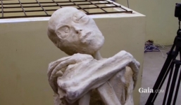 Tìm thấy xác ướp 3 ngón nghi là của người ngoài hành tinh ở Peru