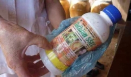 Cháu bé 11 tuổi đổ thuốc sâu vào bình nước nhà cậu ruột vì bị la mắng