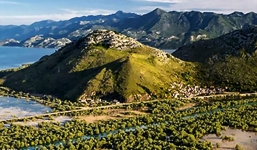 Cậu bé tự kỷ vẽ tranh tiên đoán nơi mình sẽ chết, cuối cùng điều không may đã xảy ra