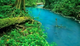 Bí mật của dòng sông ngọc lam huyền ảo từng 'đánh lừa' các nhà khoa học