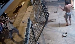 Báo Anh gọi nhóm cẩu tặc cướp chó trước mặt chủ nhà là “những kẻ sát nhân tàn bạo”