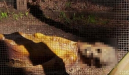 Bên trong 'trang trại thi thể' giúp cảnh sát phá án tại Australia