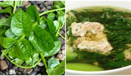 Không biết điều này khi ăn mồng tơi là bạn đang hại cả gia đình mình