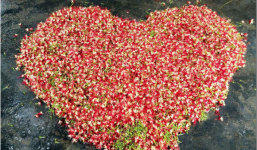 Đến cả quét hoa rơi trên đường bây giờ cũng phải có nghệ thuật như thế này đây!