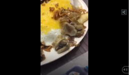 Thực khách hoảng hốt phát hiện giòi 'nhảy múa' trong món ăn tại một nhà hàng nổi tiếng