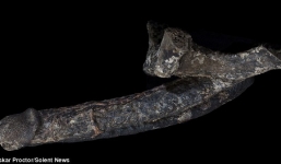 Anh công bố 'của quý khổng lồ' của xác ướp trị giá 3 tỉ đồng