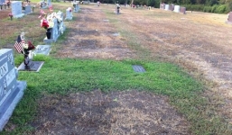 Mộ con trai chết trẻ bất ngờ xanh cỏ, khi bí mật được tiết lộ, người mẹ cứ thế khóc nức nở