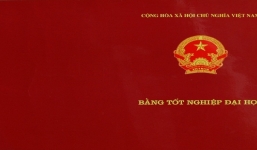 Hà Nội: Tạm đình chỉ công tác Phó chủ tịch xã dùng bằng đại học giả