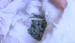 Con trai ăn nhầm thuốc diệt chuột, người mẹ đòi nhà hàng bồi thường 1,3 tỷ đồng