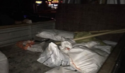 Trung Quốc: Hàng loạt chú chó hoang bị lực lượng trật tự đô thị đánh đập tới chết