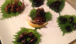 Phải dũng cảm lắm mới có thể bước chân vào nhà hàng chuyên phục vụ những món ăn kinh dị này