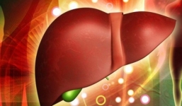 6 dấu hiệu cho thấy gan đang suy yếu: Nhận biết sớm để ngừa nguy cơ xơ gan, ung thư gan