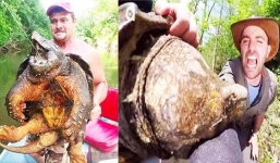 Chàng trai có cái kết thê thảm khi cho tay thử lực cắn của rùa cá sấu