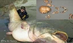 Một sĩ quan Đức quốc xã nằm trong bụng cá khổng lồ hơn 50 năm