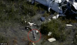 Rơi xuống vùng đầm lầy sau khi vụ tai nạn máy bay, nạn nhân còn bị cá sấu xông tới ăn thịt